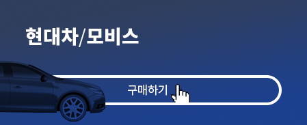 현대차/모비스