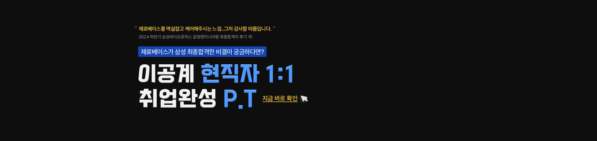 대기업 현직자의<br>1:1 밀착 취업 P.T